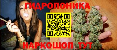 a pvp Краснознаменск