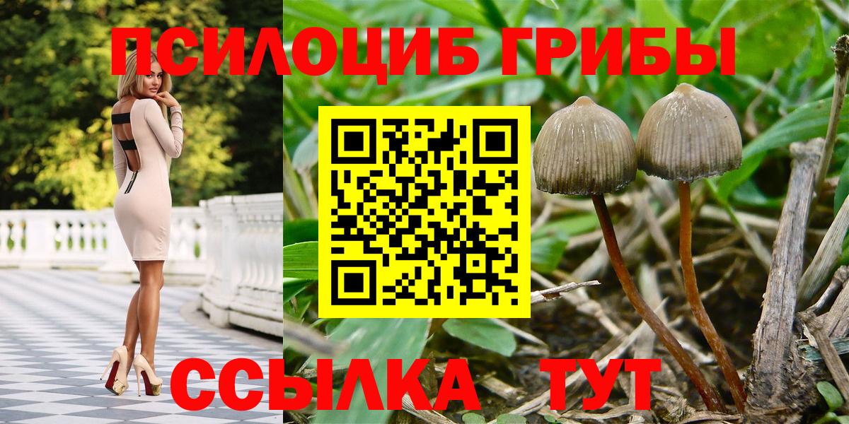 Клин  Галлюциногенные грибы Magic Shrooms  Вход с VPN  Галлюциногенные грибы GOLDEN TEACHER 